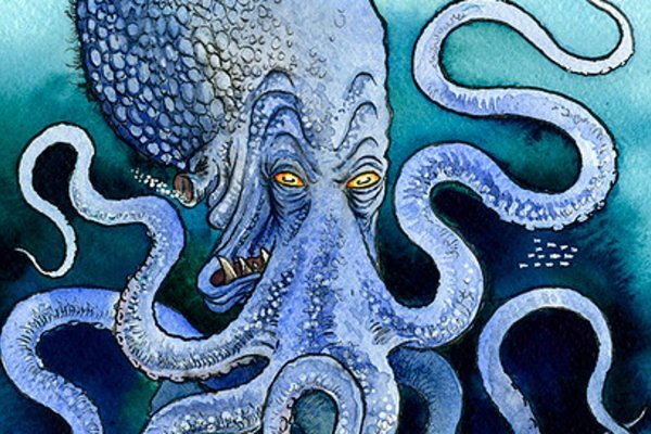 Kraken forum