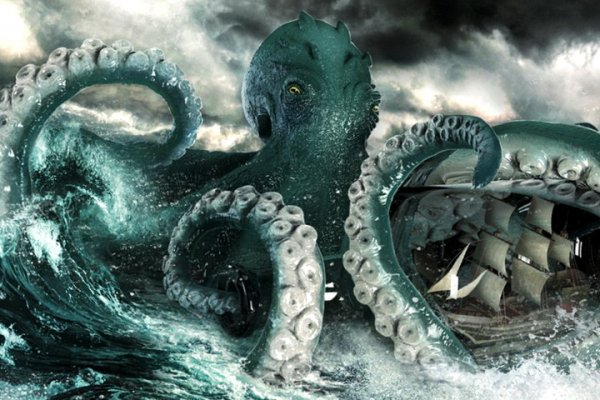 Kraken 19 at